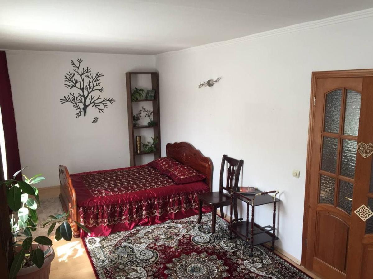 Guest House On Maksimova 9 Almaty Extérieur photo