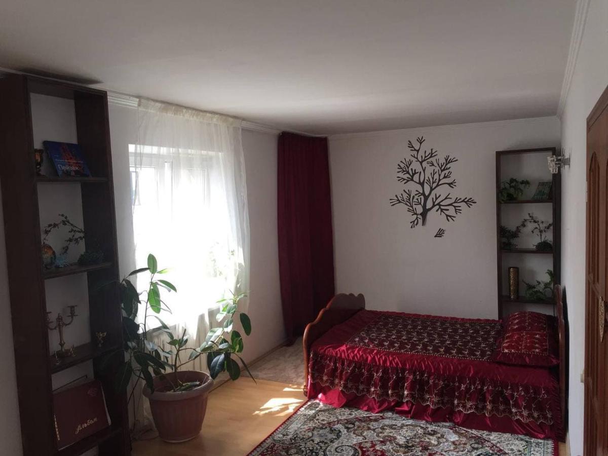 Guest House On Maksimova 9 Almaty Extérieur photo